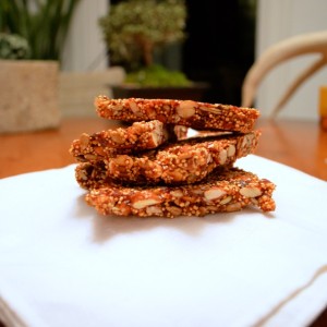 seedy cherry bars finished